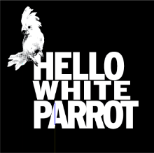 Hello White Parrot